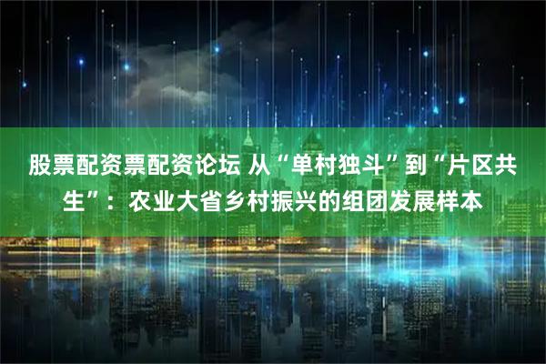 股票配资票配资论坛 从“单村独斗”到“片区共生”：农业大省乡村振兴的组团发展样本